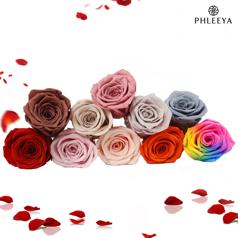 6pcs 영원한 장미 꽃 머리, 대형, 5-6cm -  - Wedding Supply In Bulk 리뷰 및 가격